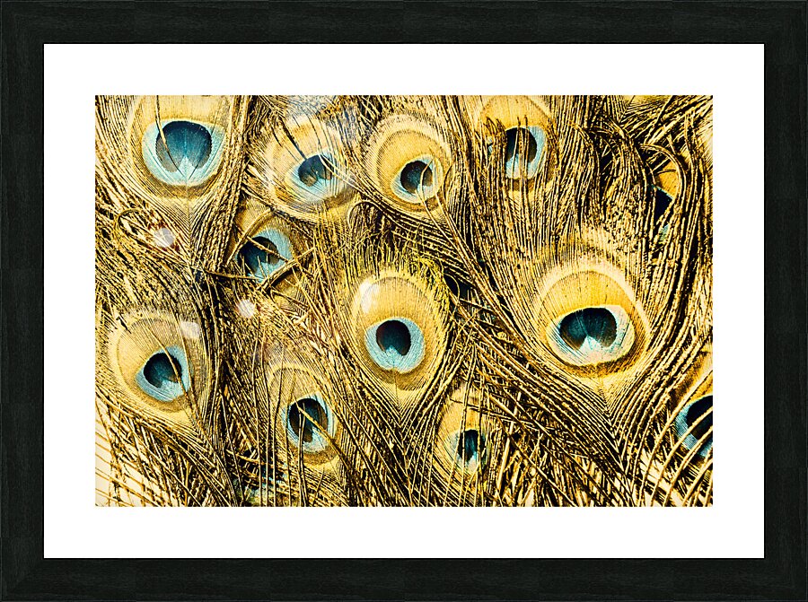 Spot colors Picture Frame print