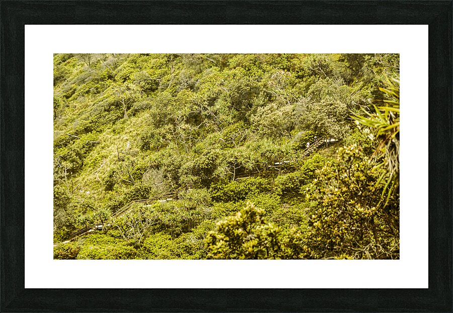 Forest footbridge Picture Frame print