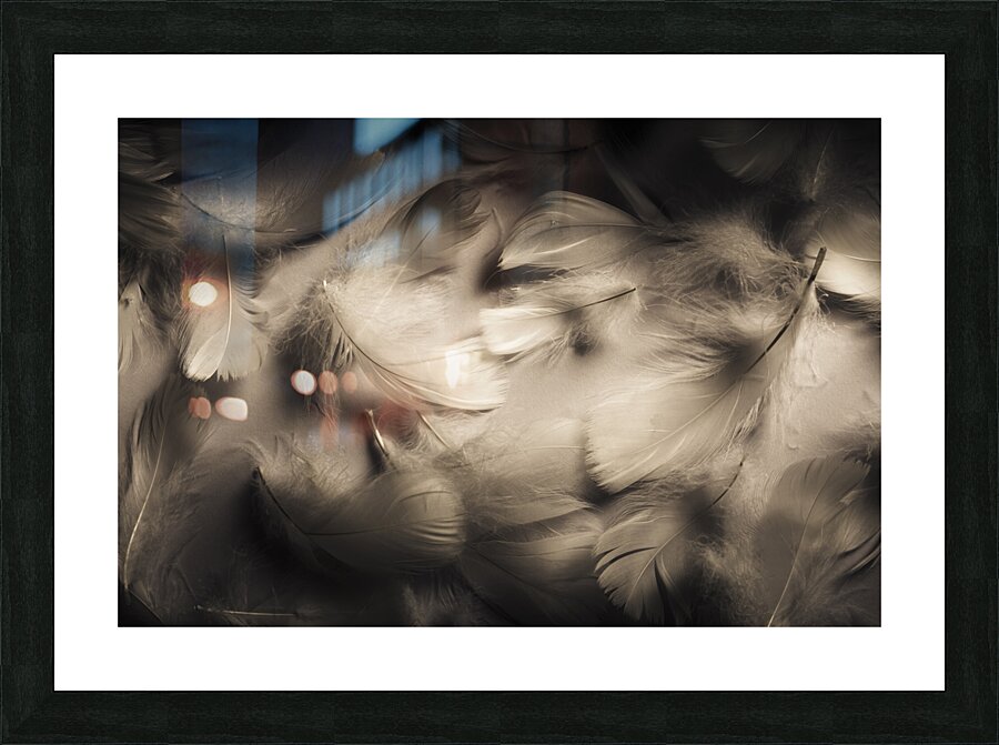 Soft contrasts Picture Frame print