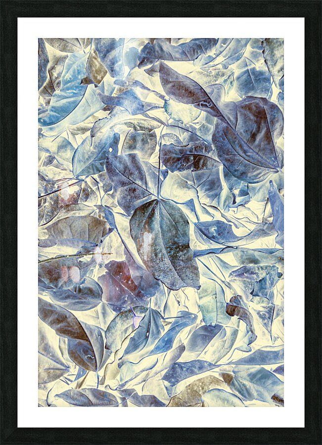 Wintage Picture Frame print