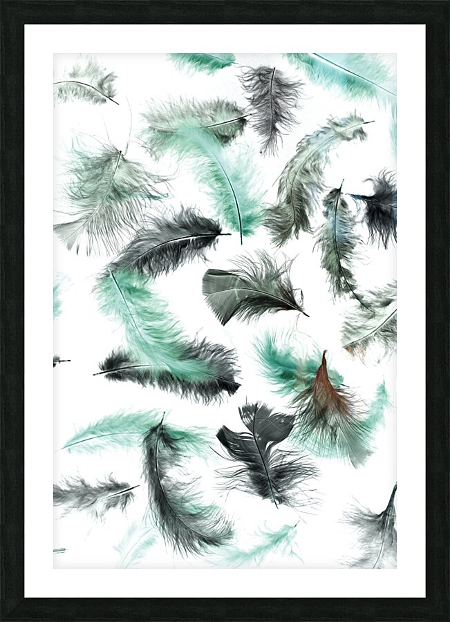 Quill and feather Picture Frame print