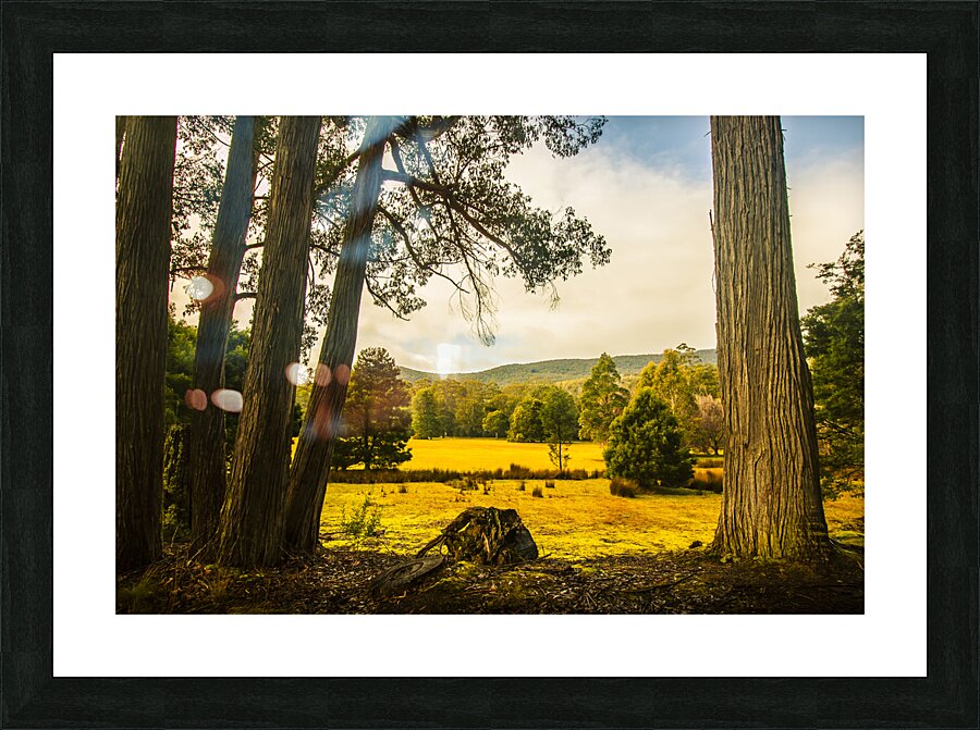 Vibrant autumn hillside Picture Frame print