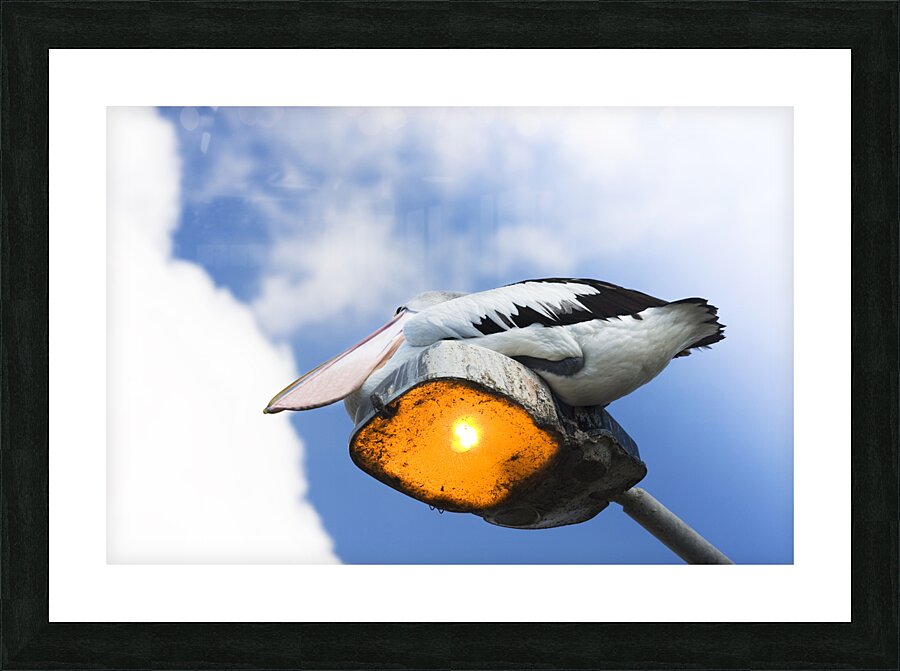 Dreams Picture Frame print