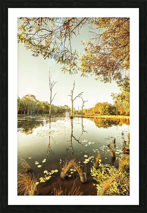 Still lake afternoon  Picture Frame print