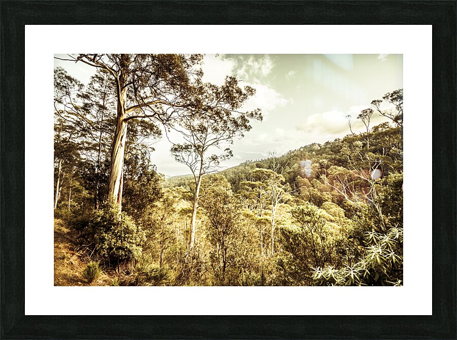 Bush views and lookouts Picture Frame print