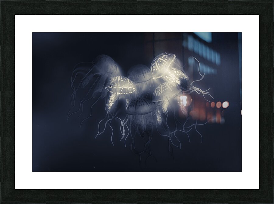 Medusas light Picture Frame print