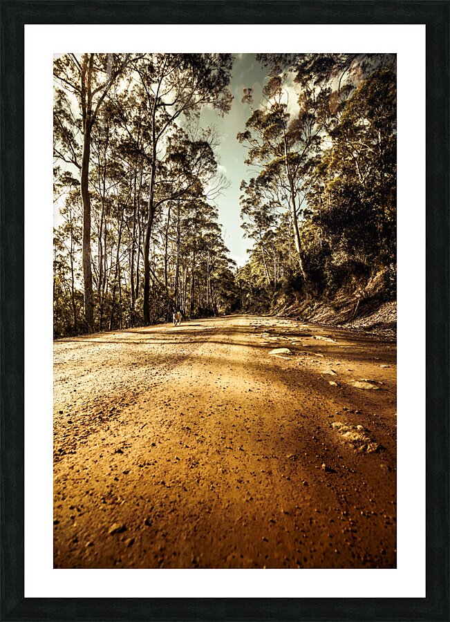 Off the beaten track Picture Frame print