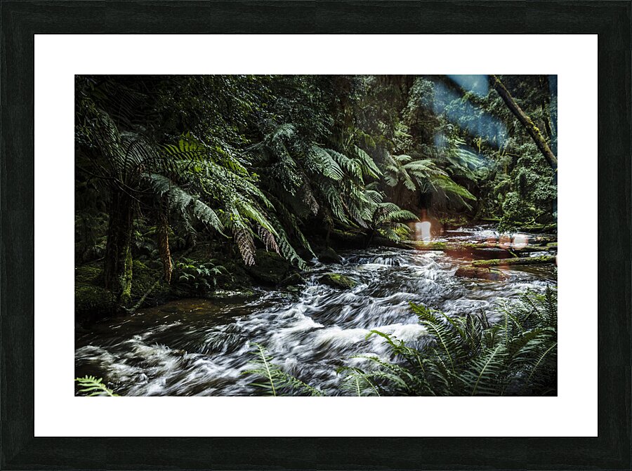 Wild rivers  Picture Frame print