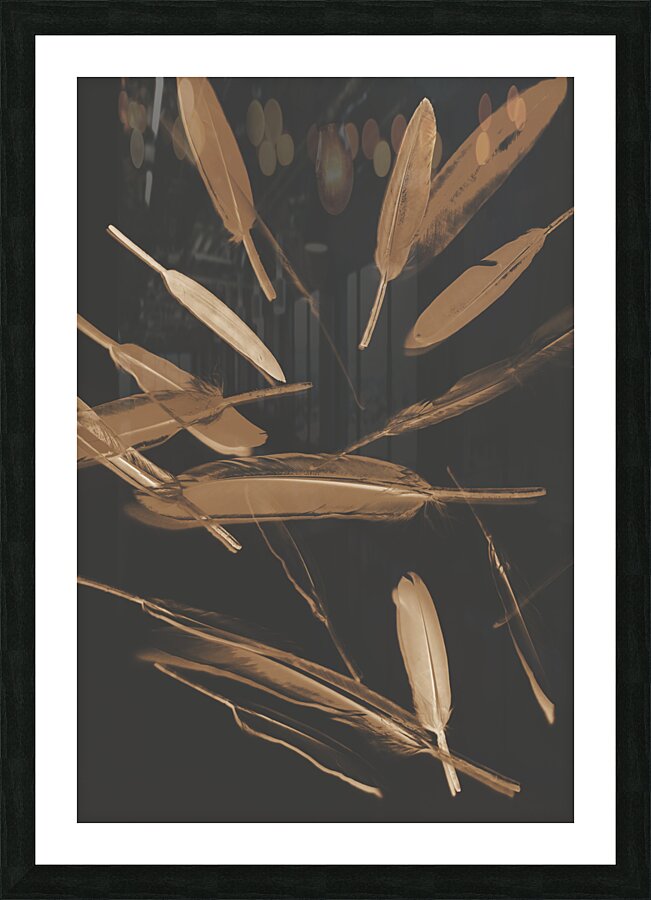 Feather Feature  Picture Frame print