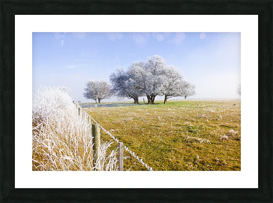 Fine art winter scene Picture Frame print