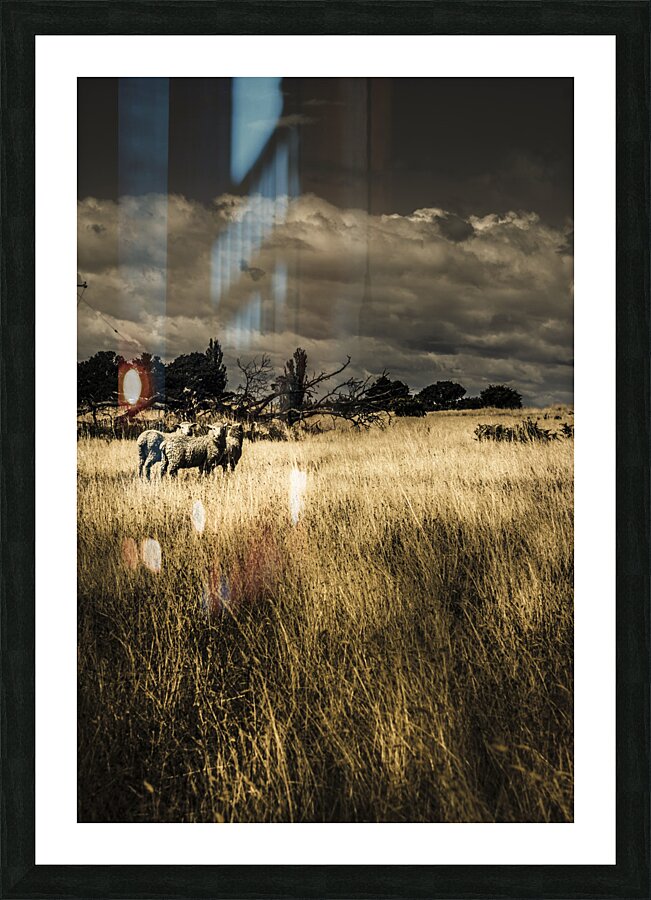 Nature photo of Tasmanian countryside in Australia Picture Frame print
