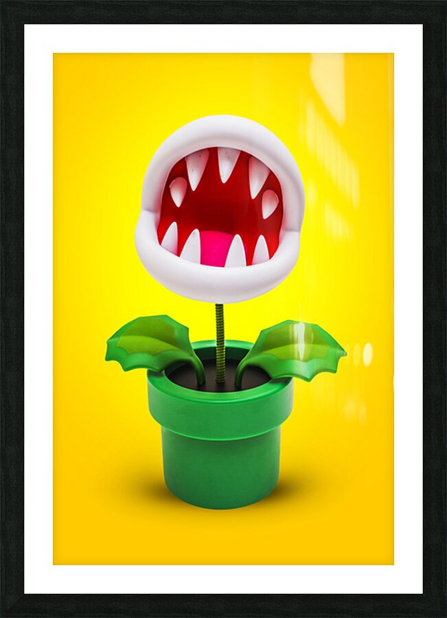 RaveNES Picture Frame print