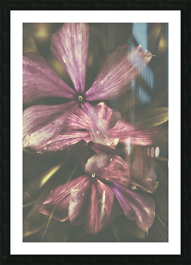 Flow er Picture Frame print