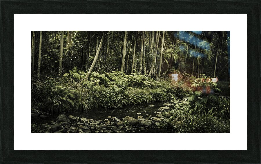 Dense tropics Picture Frame print