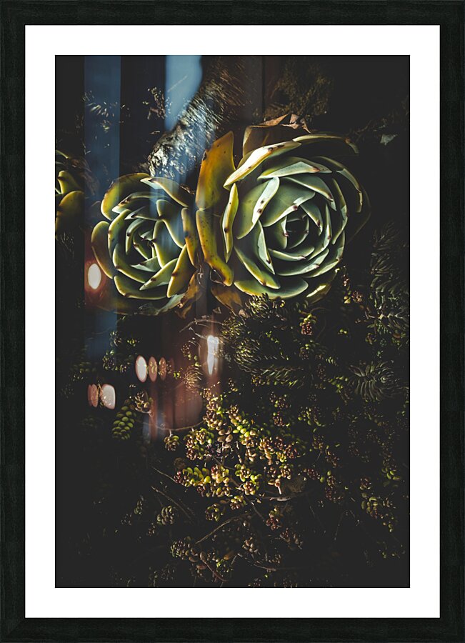 Desert flowers Picture Frame print