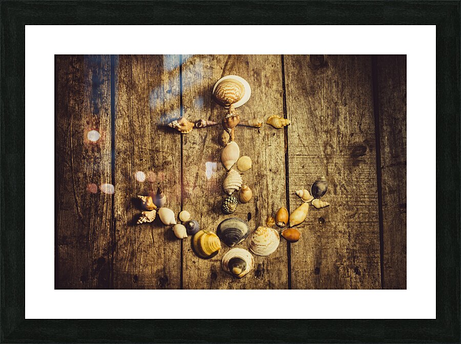 Shell n anchor Picture Frame print