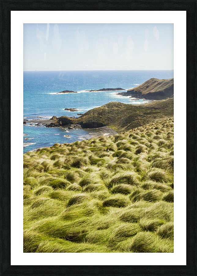 Vibrant cape seascape Picture Frame print