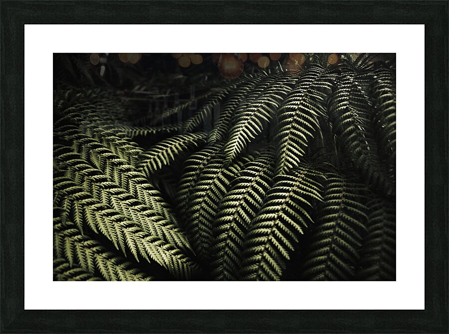 The exotic dark jungle Picture Frame print