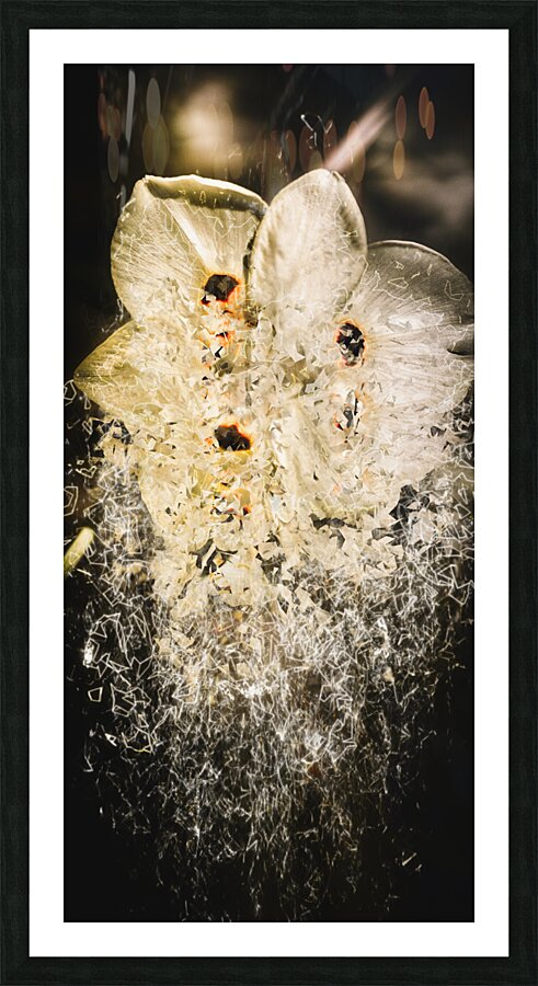 Fractal flower Picture Frame print