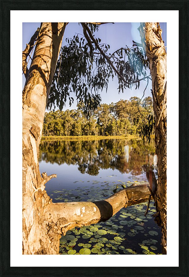 Framing stillness Picture Frame print