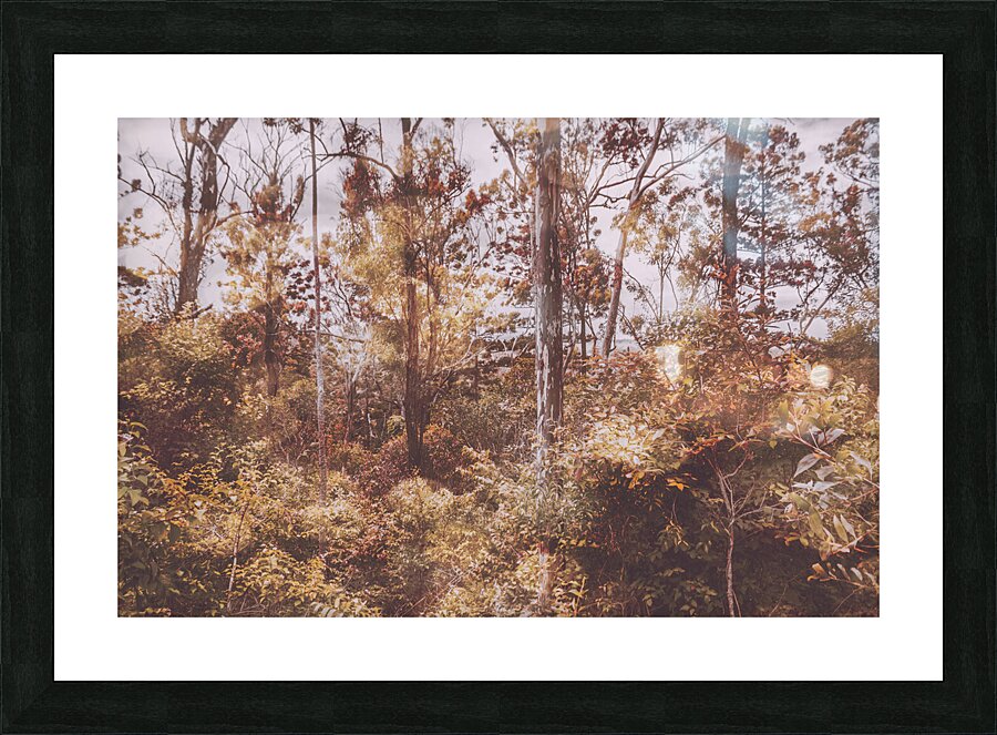 Washes of warmth Picture Frame print