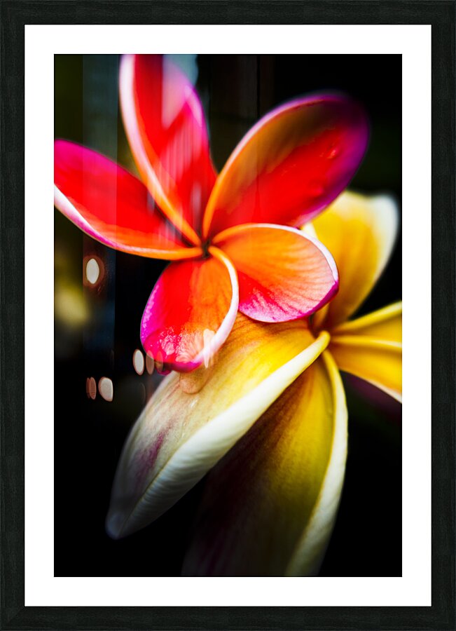 Touch of summer Picture Frame print