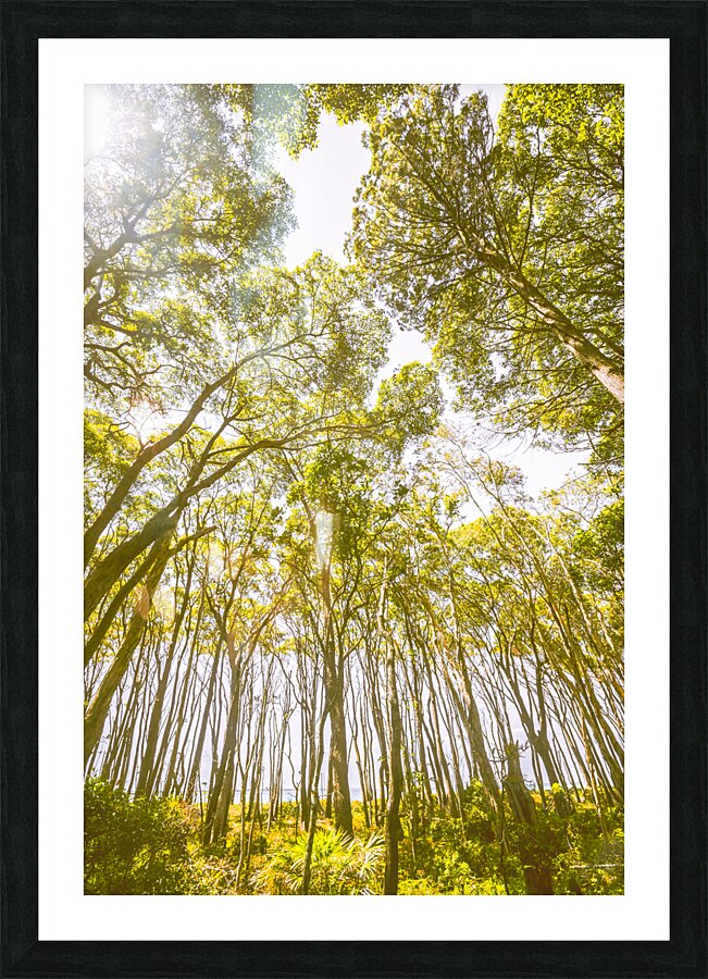 Open airs Picture Frame print