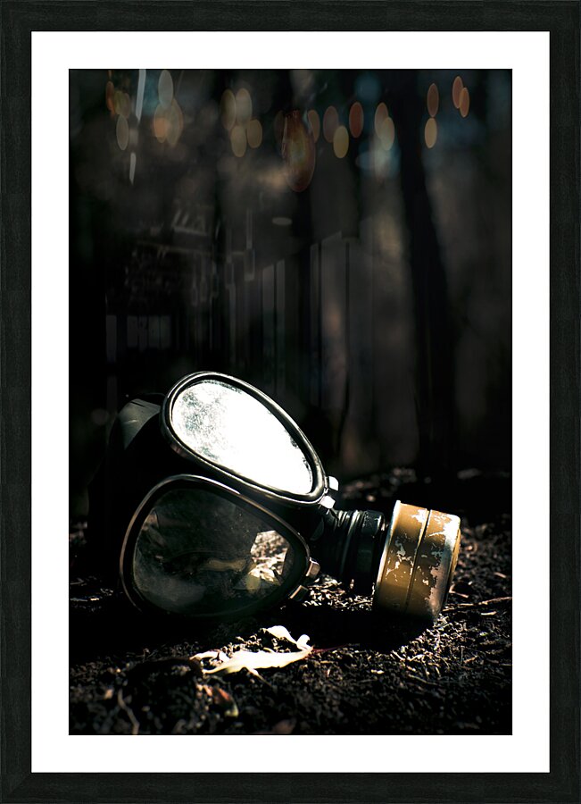 Valley Of Death Picture Frame print