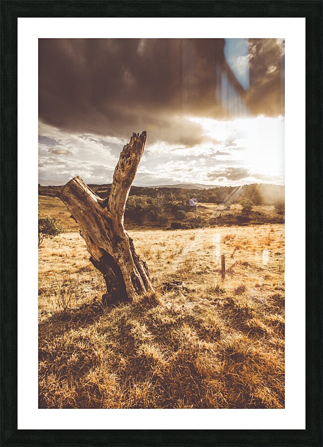 Arid Tasmania bush landscape Picture Frame print
