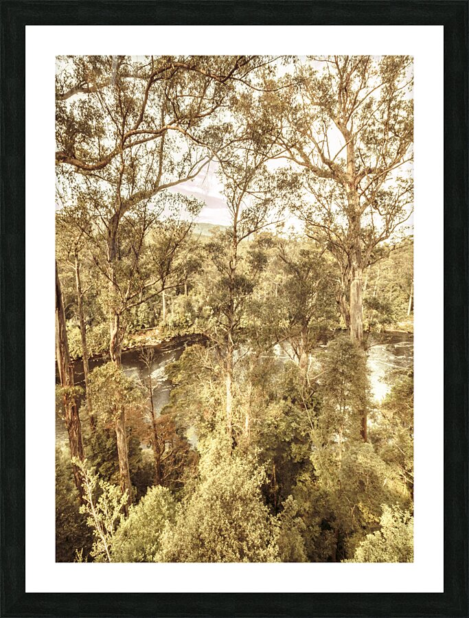 Elevated country Picture Frame print