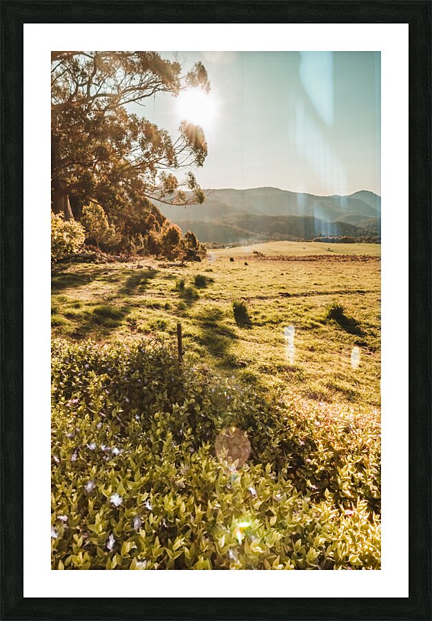 Dusky fields Picture Frame print