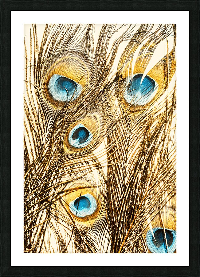 Regally golden Picture Frame print