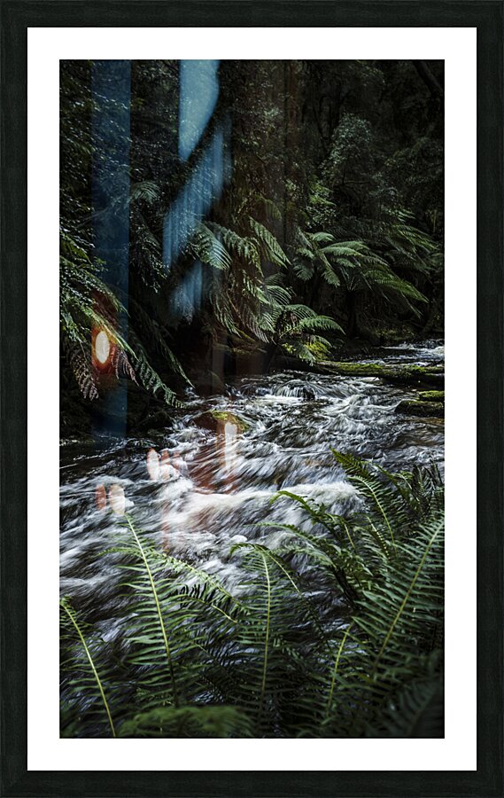Jungle waters Picture Frame print
