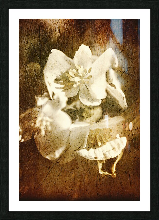 Past life flowers Picture Frame print