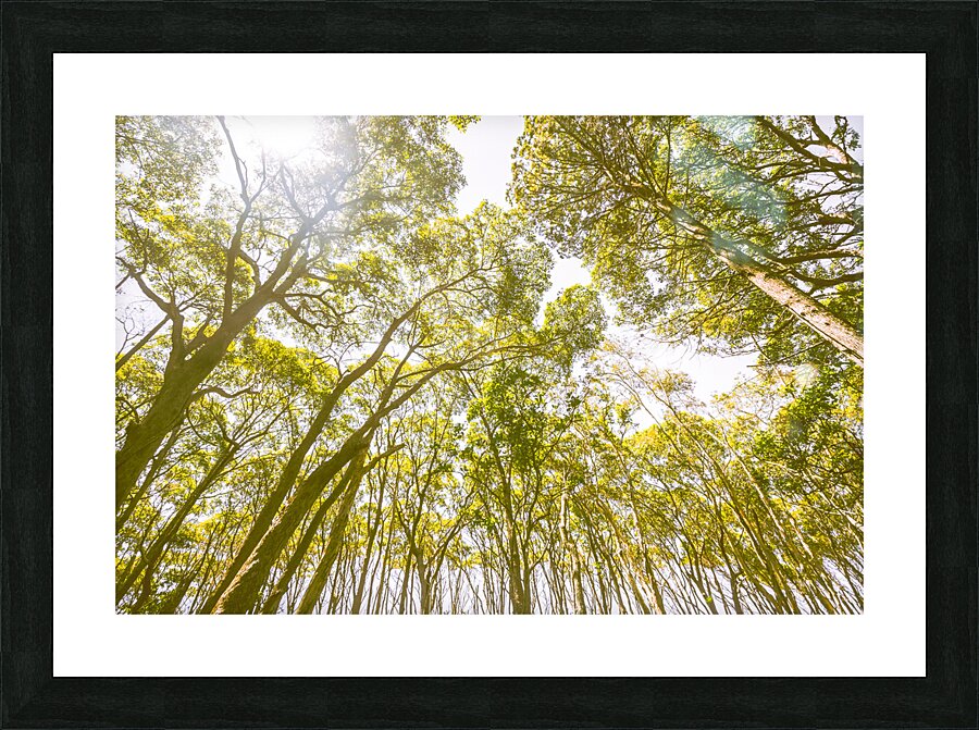 Country wide Picture Frame print