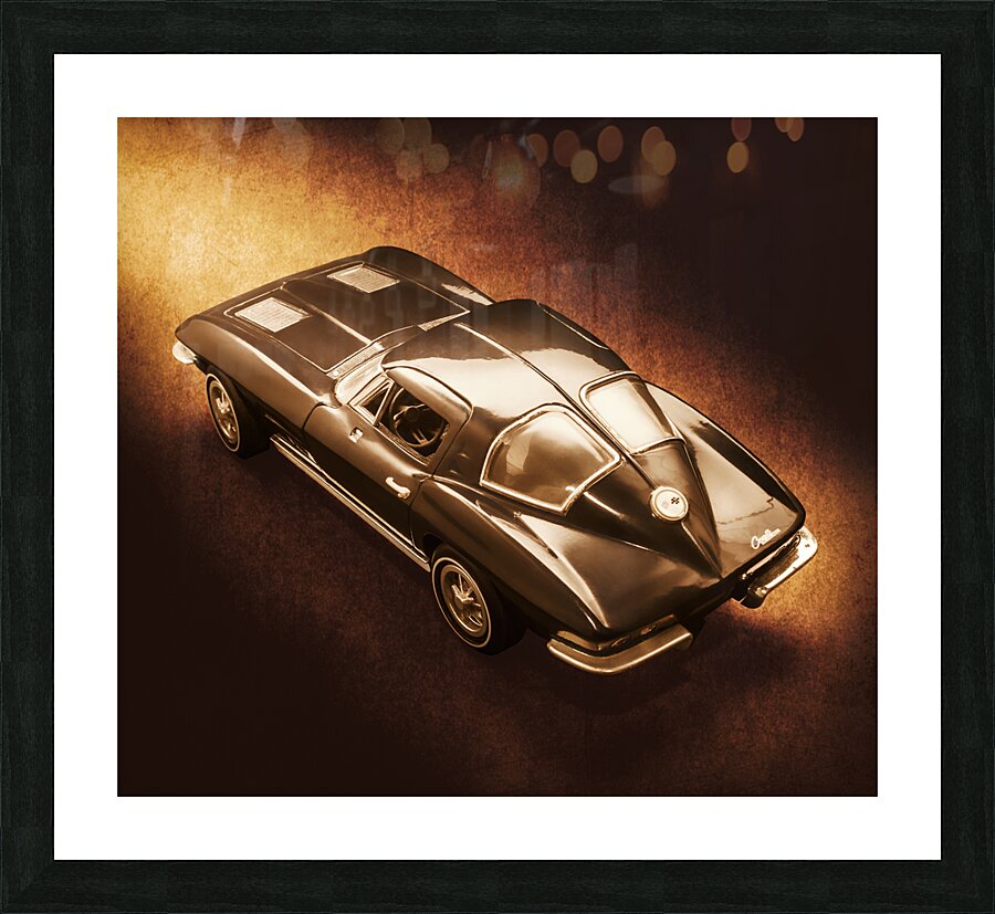 Ray tail Picture Frame print