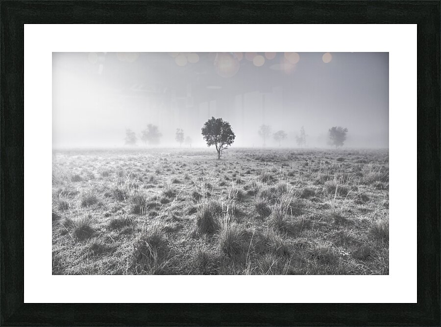 Wondrous misty background Picture Frame print