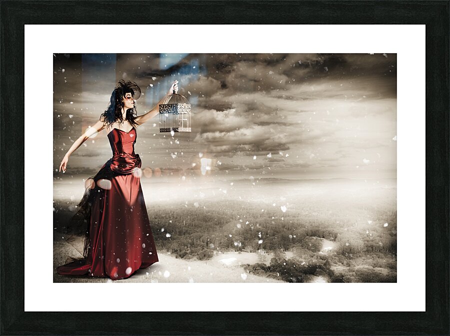 Free fall Picture Frame print