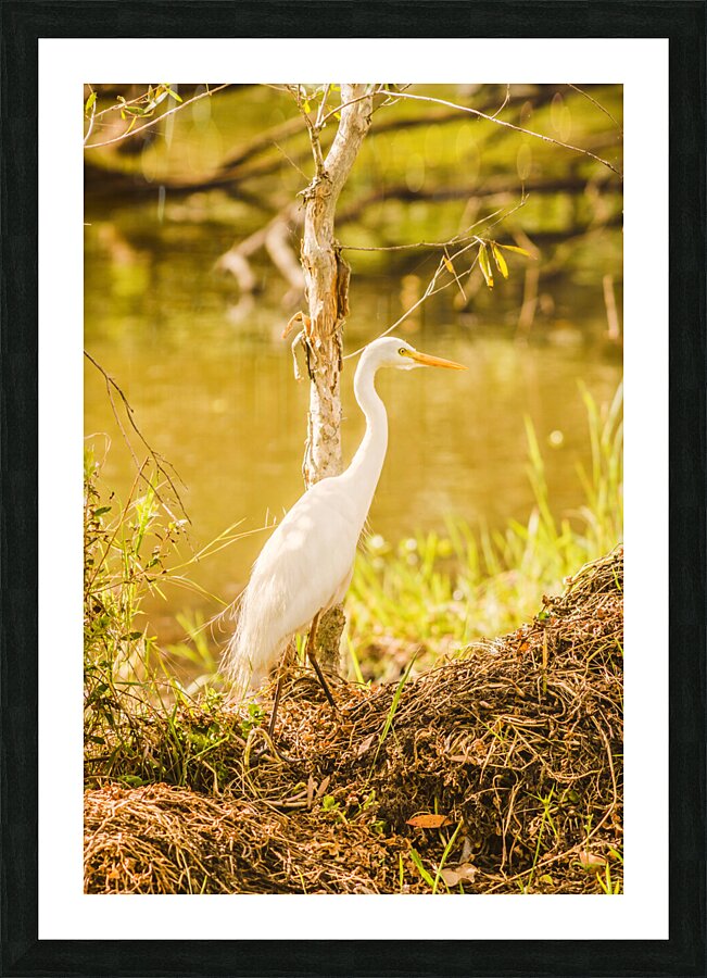 Afternoon lakes Picture Frame print