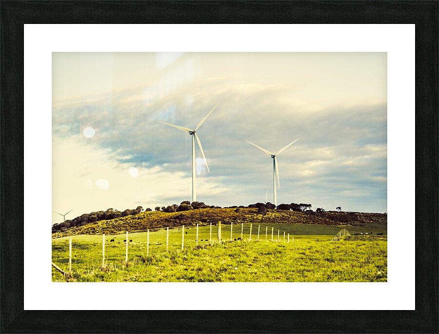 Green Tasmania Picture Frame print