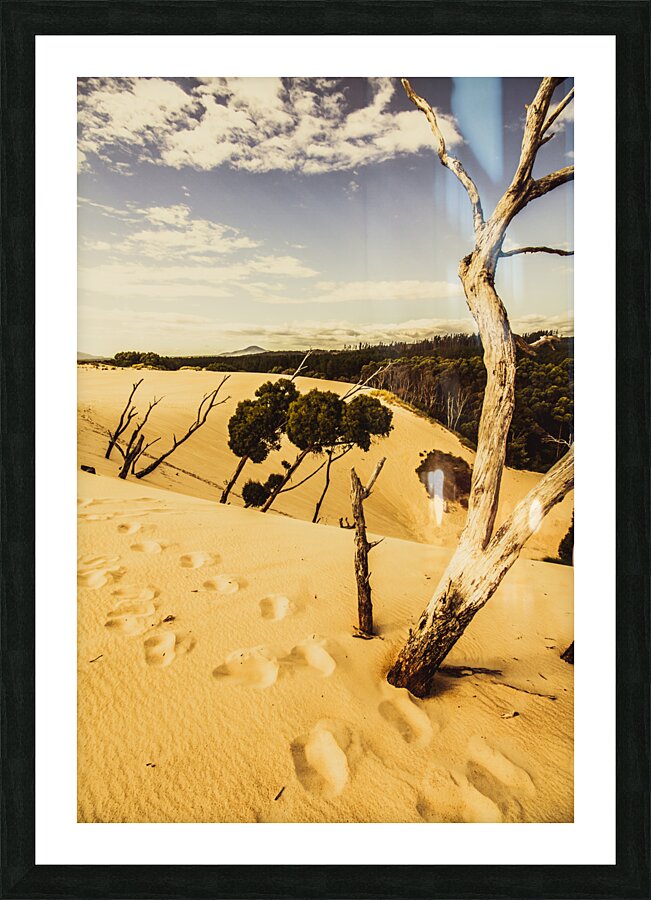 Tasmanian desert tree landscape Picture Frame print