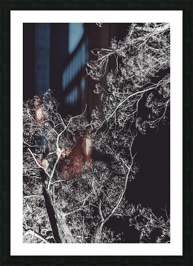 Woodland heights Picture Frame print