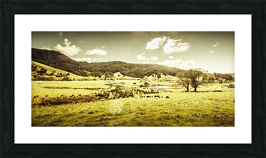 Peaceful panoramic pasture Picture Frame print