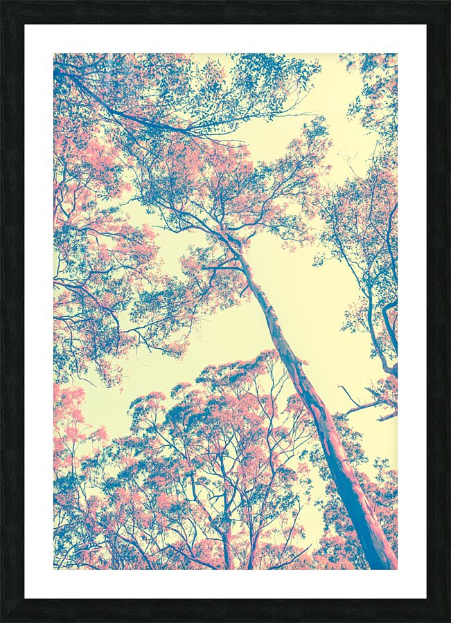 Autumnal color  Picture Frame print