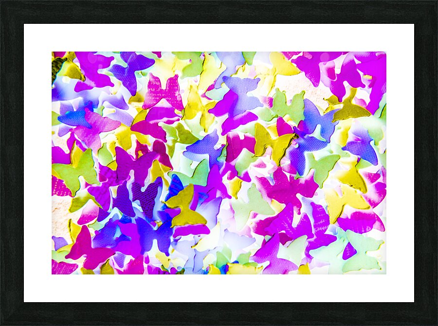 Color springs Picture Frame print