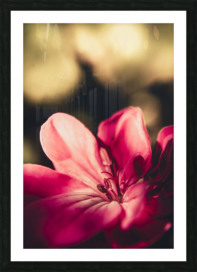 Retro flower Picture Frame print
