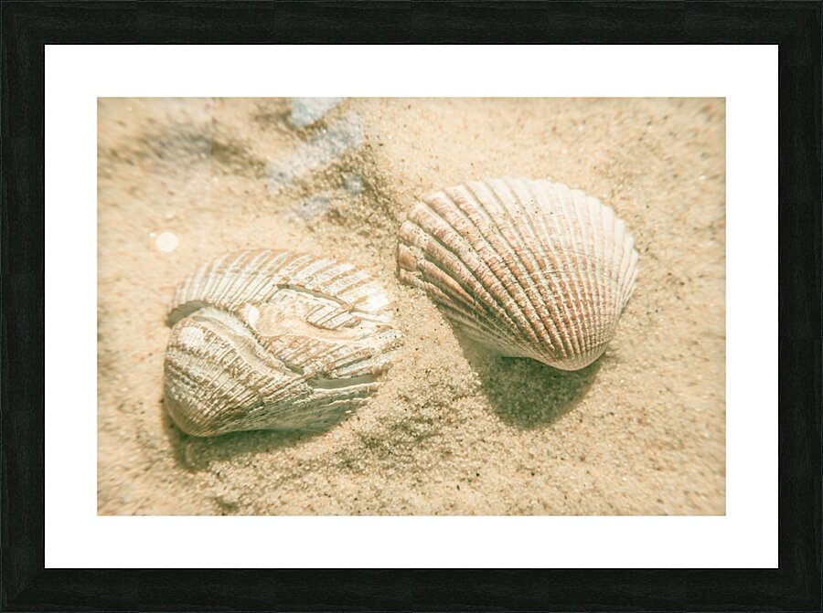 Simply coastal Picture Frame print