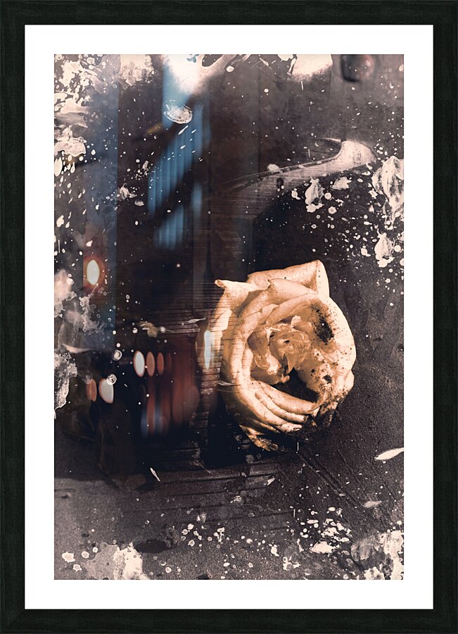 Yellow rose pier Picture Frame print