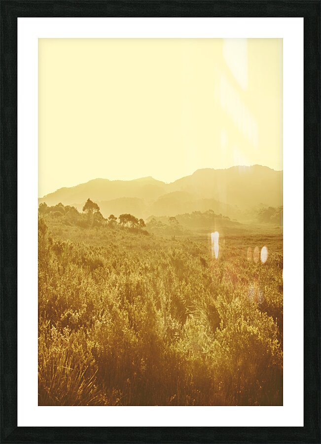 Bushland of western dynamics Picture Frame print