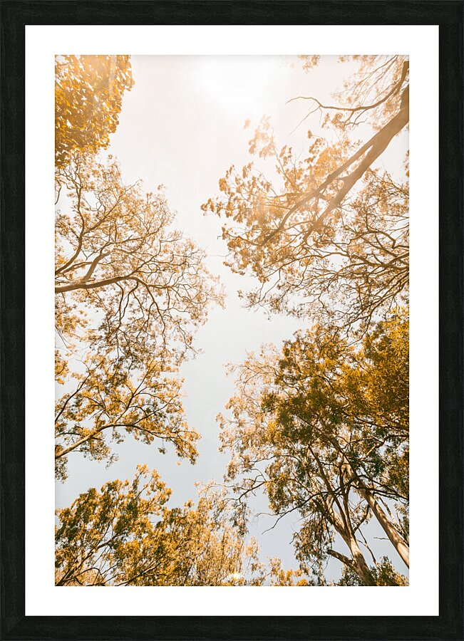 Falling In Picture Frame print